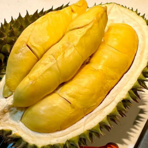 [최상급특품] 태국1등농장 아몬드크림치즈맛 생 두리안, 1박스, 1.5kg