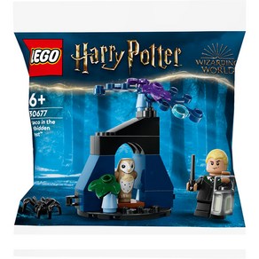 LEGO 30677 - 금단의 숲에 들어간 드레이코 / 레고 정품 해리포터