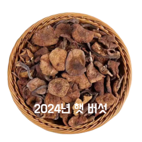 HONA국제 중국 동북지역 원시림 2024년 동북산 햇 개암버섯 개암버섯 깸버섯 250g/봉, 2봉