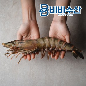 프리미엄 킹타이거새우 1미 32cm(230-289g) 킹블랙타이거새우, 1개