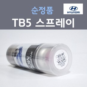 순정품 현대 TB5 틸블루 주문컬러 스프레이 자동차 차량용 카 페인트, 1개, 200ml