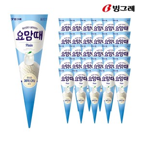 빙그레 요맘때 콘 플레인