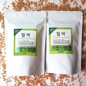 세경팜 밀싹씨앗 300g, 2개