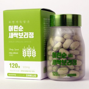 새싹보리정 500mg X 120정