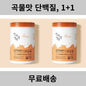 안먹은걸로 WPI 단백질쉐이크 490g x 2통 (곡물맛), 2개