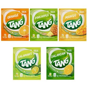 tang 탕 음료 분말 가루 망고, 19g, 12개