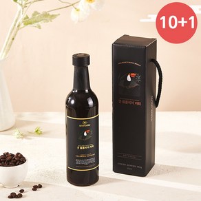 (10+1)신선한 굿 더치커피 유리병 1종 선물세트, 1개, 375ml, 1개입