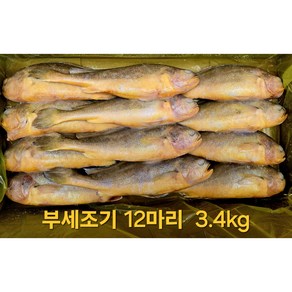 냉동 부세조기 1박스 12마리 3.4kg (제수용) 25cm, 1개