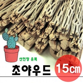 선인장 초야 우드 15cm 선인장 유목 초야 유목, 1개