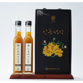 안동반가 진저올 안동생강진액 2종세트(250ml*2) 250ml 2개