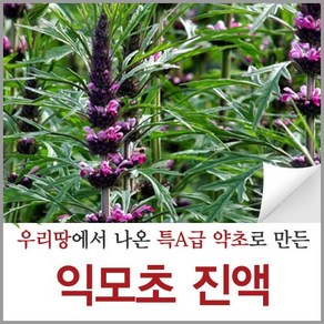 신토불이약초 익모초 진액 육모초 즙 액기스 원액 90ml 60포, 60개