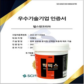 HMK 빅맥스 쵸코맛 4500g 대용량 체중증가 유청단백질 헬스보충제 헬스맨코리아