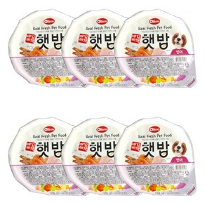 애견비책 햇밥 연어 120g x 6개입 1박스, 6개, 상세페이지 참조