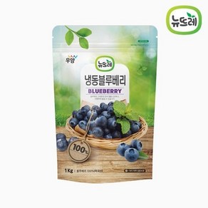 [뉴뜨레] 냉동 블루베리홀 1kg