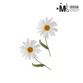 마타바 에센셜오일 NO.13_캐모마일저먼 10ml, 1개