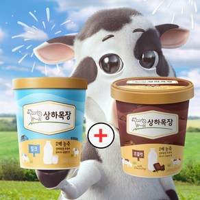 상하목장 밀크 파인트 초코 파인트 474ML(총 ), 2개, 474ml