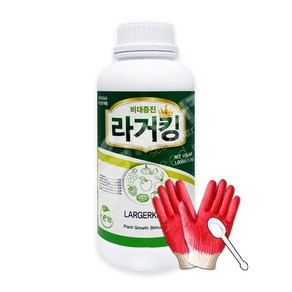 라거킹 1L 구근 과수 비대증진제 천연 식물 생리활성제, 1개