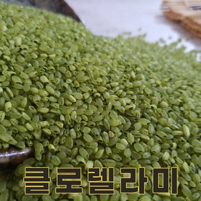 밥보야 24년산 클로렐라쌀 2kg 클로렐라미 클로렐라밥 색깔쌀 컬러쌀, 1개