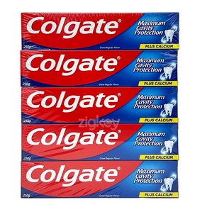 콜게이트 COLGATE 그레이트 레귤러 치약 250g x 5 1250g, 5개, 250ml