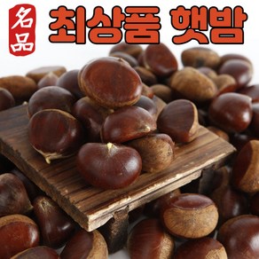 [최상품] 햇밤 밤 알밤 생밤 생밤국산 생율 햇알밤 맛있는밤 국산생밤 생율밤 제수용 2kg 4kg