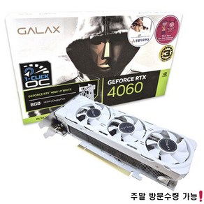 갤럭시 GALAX 지포스 RTX 4060 WHITE OC D6 8GB LP