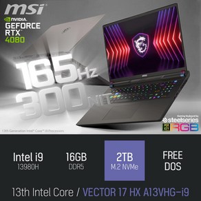 MSI 벡터 17 HX A13VHG-i9, Fee DOS, 16GB, 2TB, 그레이