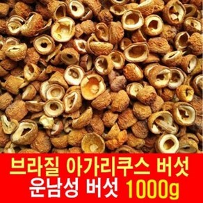 브라질 아가리쿠스 버섯 1000g 중국운남성 야생 EMS특송