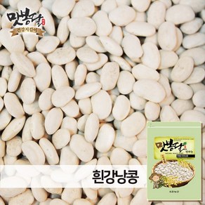 2023년 맛봉달 흰강낭콩 흰강남콩 캐나다산, 1개, 5kg