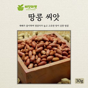 다농 땅콩 씨앗 30g, 1개