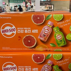 비타500 자몽라임 건강 충전세트, 10개, 170ml