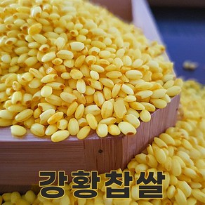 밥보야 24년산 강황찹쌀 1kg 국산찹쌀, 1개