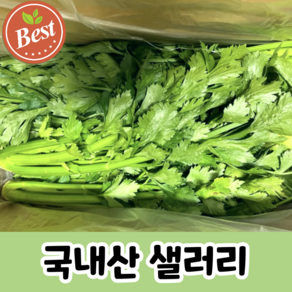 [산지직송] 국내산 셀러리 아삭 통 샐러리, 1박스, 2kg