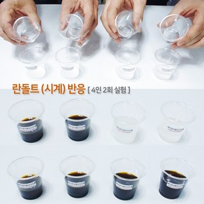 란돌트 시계 반응 ( 4인 2회 실험 ) 화학실험 속도 과학 실험 방과후 초등교과 수업