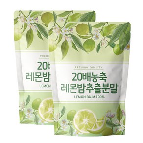 닥터릴리 레몬밤 20배 추출물 분말 가루, 2개, 500g