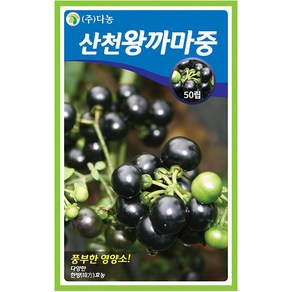 다농 잔대 1g - 씨 씨앗 잔대씨앗 잔대씨 딱주 사삼 나물씨앗 민속채소 채소씨 채소씨앗 딱주씨앗 딱주씨, 1개