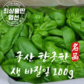 국내산 향긋한 생 바질 생바질 basil, 1개