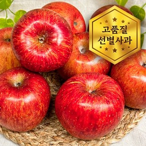 [굿이스] 프리미엄 경북 부사 사과 정품사과 꿀사과 개별망 농장직송, 1박스, 5kg 대과(12-16과)
