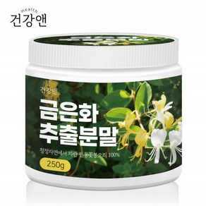 건강앤 금은화 추출분말 250g, 1개