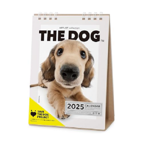 2025 THE DOG 강아지 벽걸이 달력 캘린더 라지 사이즈 닥스훈트