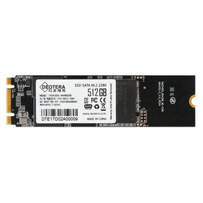 VIVA 300s M.2 LITE SSD