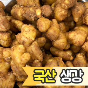 [국내산/국산] 서산 햇 생강 국산생강 1kg 특품 1키로 토종 흙생강 ginge 해미 생강청 생강주 건생강 생강술 다짐 생강채 영주 생강즙 봉동 세척, 1개