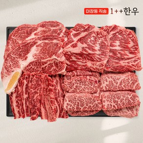 마장동직송 최고급 한우 1++ 투쁠 모듬세트, 1.2kg, 1개