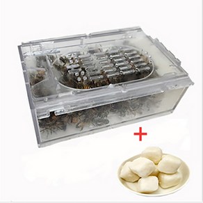 청우팜 벌침 벌침벌 봉침 120마리+영양먹이(120g), 1개