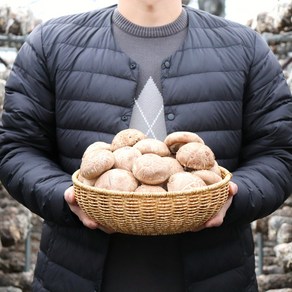 [산지직송] 국내산 생표고버섯 특상품 실속형 500g 1kg, 1개, 특상품 1kg