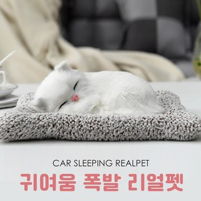 차량용 리얼펫 잠자는 강아지 고양이 인형장식, DOG03, 1개
