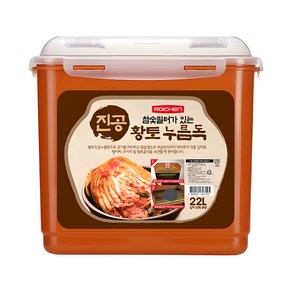 로이첸 참숯 진공 누름독, 22L, 1개