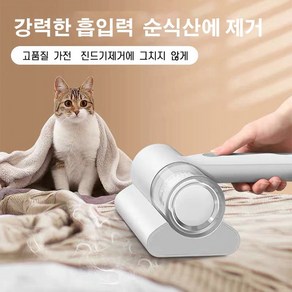 진드기 제거기 자외선 소형 휴대용 살균기 가정용 침대 위 진드기 신기 청소기 침대, 화이트