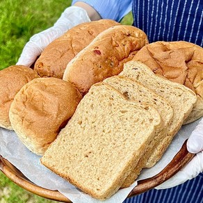 지미하다 흰밀가루없는 100% 통밀빵 (식빵/모닝빵/견과빵/단팥빵)