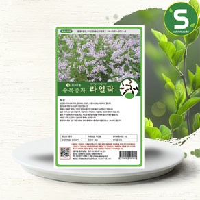 솔림텃밭몰 수목종자 라일락나무씨앗 20g 라일락나무종자 조경, 1개