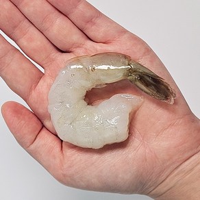 맛꾼 [정품] 칵테일 새우 냉동 깐새우, 2개, 500g(31~40미)